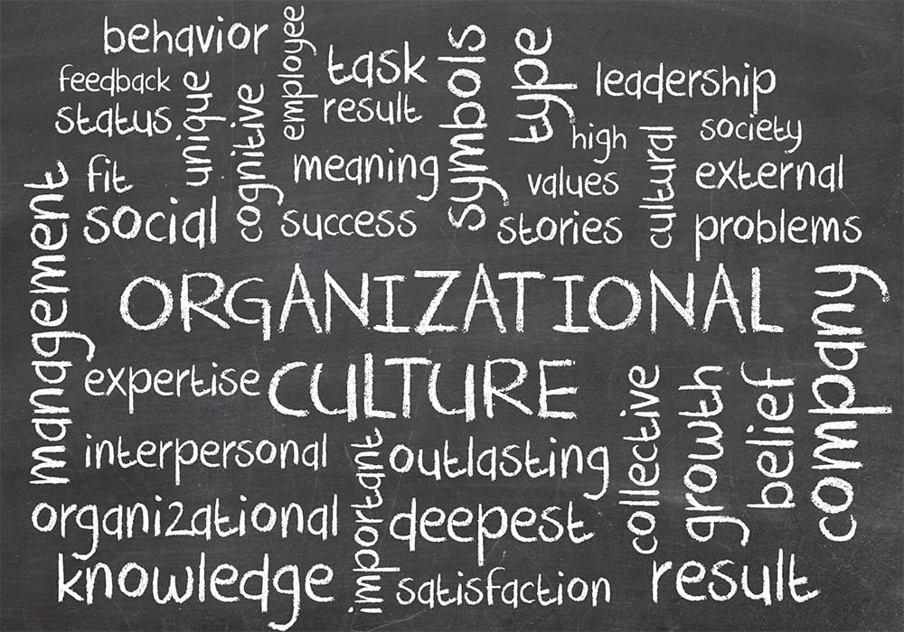 Corporate Culture - Rank the Items That Make a Dream Job Corporate Culture - Rank the Items That Make a Dream Job